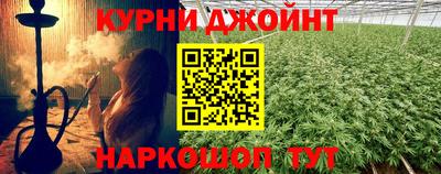 стаф Аргун