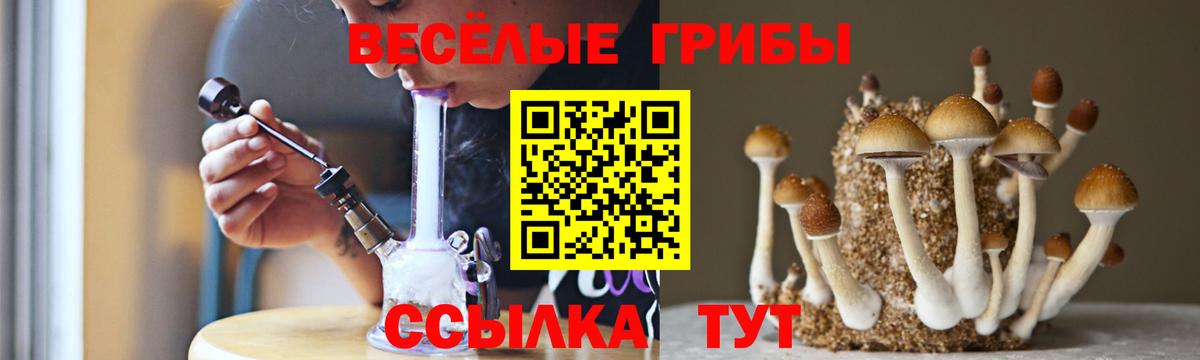 Псилоцибиновые грибы мухоморы Беслан
